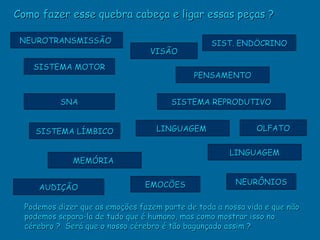 Como fazer esse quebra cabeça e ligar essas peças ?

 NEUROTRANSMISSÃO                                 SIST. ENDÖCRINO
                                  VISÃO
    SISTEMA MOTOR
                                             PENSAMENTO


           SNA                         SISTEMA REPRODUTIVO


    SISTEMA LÍMBICO                 LINGUAGEM                OLFATO


                                                      LINGUAGEM
              MEMÓRIA


                                 EMOCÕES                NEURÔNIOS
     AUDIÇÃO

  Podemos dizer que as emoções fazem parte de toda a nossa vida e que não
  podemos separa-la de tudo que é humano, mas como mostrar isso no
  cérebro ? Será que o nosso cérebro é tão bagunçado assim ?
 