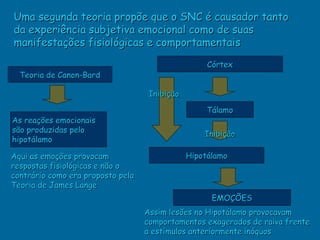 Uma segunda teoria propõe que o SNC é causador tanto
da experiência subjetiva emocional como de suas
manifestações fisiológicas e comportamentais

                                                    Córtex
  Teoria de Canon-Bard

                                    Inibição

                                                   Tálamo
As reações emocionais
são produzidas pelo                                Inibição
hipotálamo

Aqui as emoções provocam                       Hipotálamo
respostas fisiológicas e não o
contrário como era proposto pela
Teoria de James Lange
                                                     EMOÇÕES
                                   Assim lesões no Hipotálamo provocavam
                                   comportamentos exagerados de raiva frente
                                   a estímulos anteriormente inóquos
 