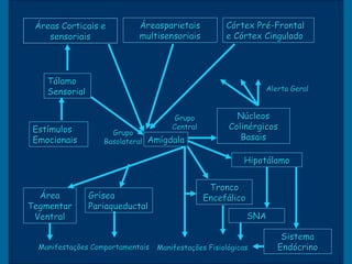 Áreas Corticais e          Áreasparietais           Córtex Pré-Frontal
    sensoriais              multisensoriais          e Córtex Cingulado




    Tálamo
    Sensorial                                                  Alerta Geral



                                       Grupo            Núcleos
 Estímulos                            Central         Colinérgicos
                     Grupo
 Emocionais        Basolateral Amígdala
                                                         Basais

                                                          Hipotálamo


                                                 Tronco
  Área          Grísea                          Encefálico
Tegmentar       Pariaqueductal
 Ventral                                                     SNA

                                                                    Sistema
  Manifestações Comportamentais   Manifestações Fisiológicas       Endócrino
 