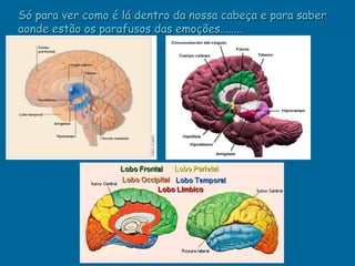 Só para ver como é lá dentro da nossa cabeça e para saber
aonde estão os parafusos das emoções........
 