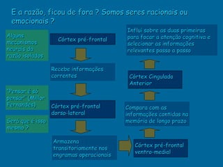 E a razão, ficou de fora ? Somos seres racionais ou
 emocionais ?
                                          Influi sobre as duas primeiras
Alguns                                    para focar a atenção cognitiva e
                    Córtex pré-frontal
mecanismos                                selecionar as informações
neurais da                                relevantes passo a passo
razão isolados

                  Recebe informações
                  correntes                Córtex Cingulado
                                           Anterior
“Pensar é só
pensar” (Millor
Fernandes)        Córtex pré-frontal      Compara com as
                  dorso-lateral           informações contidas na
Será que é isso                           memória de longo prazo
mesmo ?

                  Armazena
                                             Córtex pré-frontal
                  transitoriamente nos
                                             ventro-medial
                  engramas operacionais
 