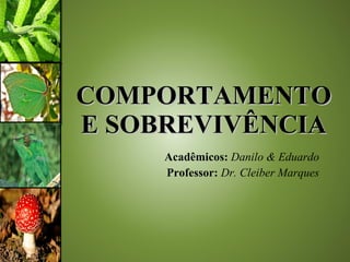 COMPORTAMENTO E SOBREVIVÊNCIA Acadêmicos:   Danilo & Eduardo Professor:  Dr. Cleiber Marques 