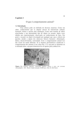 11
Capítulo 1

                 O que é comportamento animal?
 1.1 Introdução
        Uma ciência pode ser definida de diversas maneiras. Como um
saber, conhecimento que se adquire através da transmissão cultural,
instrução, leitura e mesmo pela meditação. Como uma reunião de idéias
relacionadas a um determinado tipo de objeto ou assunto, dados esses
obtidos por experimentação, observação ou conhecimento de fatos. Em
geral, o assunto ou objeto investigado por qualquer que seja a ciência em
questão, atende a algum dos interesses básicos humanos: alimentação,
defesa, desenvolvimento, curiosidade. Com o comportamento animal isso
não ocorre de modo diferente. Já os homens pré-históricos estudavam o
comportamento dos animais à sua volta (Fig. 1.1), seja para se alimentar ou
se defender deles, seja para domesticá-los ou apenas para conhecê-los.




Figura 1.1- Pinturas rupestres, estilizando lagartos, peixes e aves, em cavernas
(Serranópolis - GO - Brasil). Idade estimada 10.000 anos. (foto: K. Del-Claro)
 