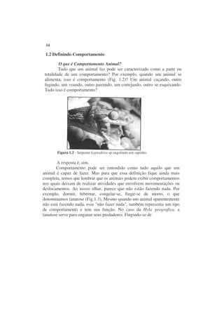14

 1.2 Definindo Comportamento

         O que é Comportamento Animal?
         Tudo que um animal faz pode ser caracterizado como a parte ou
 totalidade de um comportamento? Por exemplo, quando um animal se
 alimenta, isso é comportamento (Fig. 1.2)? Um animal caçando, outro
 fugindo, um voando, outro pairando, um cortejando, outro se esquivando.
 Tudo isso é comportamento?




       Figura 1.2 - Serpente Leptodeira sp engolindo um sapinho.

        A resposta é, sim.
       Comportamento pode ser entendido como tudo aquilo que um
animal é capaz de fazer. Mas para que essa definição fique ainda mais
completa, temos que lembrar que os animais podem exibir comportamentos
nos quais deixam de realizar atividades que envolvem movimentações ou
deslocamentos. Ao nosso olhar, parece que não estão fazendo nada. Por
exemplo, dormir, hibernar, congelar-se, fingir-se de morto, o que
denominamos tanatose (Fig.1.3). Mesmo quando um animal aparentemente
não está fazendo nada, esse "não fazer nada", também representa um tipo
de comportamento e tem sua função. No caso da Hyla geografica, a
tanatose serve para enganar seus predadores. Fingindo-se de
 