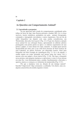 16

 Capítulo 2

 As Questões em Comportamento Animal?
 2.1 Aprendendo a perguntar.
        Eu me apaixonei pelo estudo do comportamento caminhando pelas
trilhas da Serra do Japi, uma floresta próxima a Jundiaí (SP). Lá vi coisas
incríveis, insetos miméticos, predadores em ação, animais forrageando,
cortejando e interagindo com plantas e outros organismos. Em um dia de
safári fotográfico me deparei com uma aranha estranhíssima, um
Thomisiidae, Epicadus heterogaster (Fig. 2.1). O que me chamou a atenção
nesse animal foi sua coloração branca, apresentando no abdome adornos
pontiagudos com pontos pretos no ápice e os últimos seguimentos de suas
pernas e palpos, os mais distais do corpo, amarelos. A aranha quase passou
despercebida por mim, pois à sua volta havia dezenas de flores brancas de
uma Labiateae, do gênero Peltodon, um arbustinho rasteiro. Parei para
fotografar este belo exemplo de camuflagem (Fig. 2.1 A) e, de repente, a
aranha ergueu seu corpo afastando suas pernas umas das outras. Fez o
mesmo com seus palpos e ficou imóvel (Fig. 2.1 B). Tão logo a fotografei
nessa postura, uma pequena mariposa se aproximou e como se fosse pousar
em uma flor, voou diretamente para a aranha. Imediatamente a Epicadus a
agarrou, matou-a e começou a se alimentar da mariposinha (Fig. 2.1 C).
        Por que a mariposa voou na. direção de um inimigo natural?
Suicídio? Improvável! Algo certamente a confundiu. Um cheiro, uma cor,
alguma característica da aranha enganou o inseto.
 