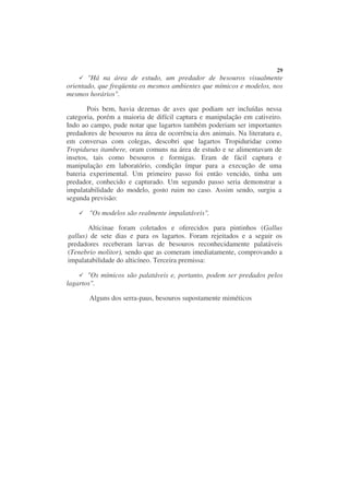 29
       "Há na área de estudo, um predador de besouros visualmente
orientado, que freqüenta os mesmos ambientes que mímicos e modelos, nos
mesmos horários".

       Pois bem, havia dezenas de aves que podiam ser incluídas nessa
categoria, porém a maioria de difícil captura e manipulação em cativeiro.
Indo ao campo, pude notar que lagartos também poderiam ser importantes
predadores de besouros na área de ocorrência dos animais. Na literatura e,
em conversas com colegas, descobri que lagartos Tropiduridae como
Tropidurus itambere, oram comuns na área de estudo e se alimentavam de
insetos, tais como besouros e formigas. Eram de fácil captura e
manipulação em laboratório, condição ímpar para a execução de uma
bateria experimental. Um primeiro passo foi então vencido, tinha um
predador, conhecido e capturado. Um segundo passo seria demonstrar a
impalatabilidade do modelo, gosto ruim no caso. Assim sendo, surgiu a
segunda previsão:

       "Os modelos são realmente impalatáveis".

       Alticinae foram coletados e oferecidos para pintinhos (Gallus
gallus) de sete dias e para os lagartos. Foram rejeitados e a seguir os
predadores receberam larvas de besouros reconhecidamente palatáveis
(Tenebrio molitor), sendo que as comeram imediatamente, comprovando a
impalatabilidade do alticíneo. Terceira premissa:

       "Os mímicos são palatáveis e, portanto, podem ser predados pelos
lagartos".

       Alguns dos serra-paus, besouros supostamente miméticos
 