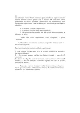 30
dos alticineos "ruins" foram oferecidos para pintinhos e lagartos que não
tiveram nenhum contato prévio com o modelo. Os serra-paus foram
prontamente atacados e predados, comprovando sua palatabilidade. Três
importantes etapas foram então vencidas para a confirmação da hipótese
mimética:

       1. Os modelos são ruins (impalatáveis),
       2. Os mímicos são bons para comer (palatáveis),
       3. Há predadores interessados nos dois e que sabem reconhecer a
diferença no sabor.

       Agora, vem nosso experimento chave, comprovar a quarta
premissa:

      "Predadores visualmente orientados confundem mímicos com os
modelos e os rejeitam".

Para tanto imaginei a seguinte seqüência experimental:

A - Os lagartos recebem uma larva de besouro palatável (T. molitor) -
intervalo (5 minutos);
B - Os mesmos lagartos recebem um besouro modelo - intervalo (5
minutos);
C - Os mesmos lagartos agora recebem um besouro mímico - intervalo (5
minutos); D- Por fim ofereceria aos mesmos lagartos uma larva de besouro
palatável (T. molitor).

       Para que a previsão fortalecesse a hipótese mimética, os lagartos
teriam que comer a larva palatável, antes e depois do contato com modelos
e mímicos. Isso demonstraria que não
 