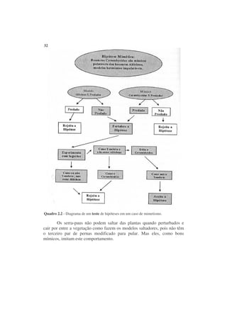 32




Quadro 2.2 - Diagrama de um teste de hipóteses em um caso de mimetismo.

        Os serra-paus não podem saltar das plantas quando perturbados e
cair por entre a vegetação como fazem os modelos saltadores, pois não têm
o terceiro par de pernas modificado para pular. Mas eles, como bons
mímicos, imitam este comportamento.
 