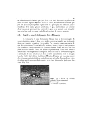 65
ou não entendendo bem o que quis dizer com uma determinada palavra ou
frase usada no registro. Quando usado na chuva, normalmente você tem que
por um plástico protegendo o gravador o a gravação fica abafada, quase
inaudível. Um outro grande problema é que, dependendo do animal
observado, usar gravador fica impossível, pois se o animal pode perceber
seu som, isso pode provocar ou inibir, algum tipo de comportamento.

5.1.4 - Registros através de imagens - foto e filmagem.

        A fotografia é uma ferramenta básica para a documentação de
comportamento. Através dela você pode comprovar aquilo que realmente
observou e muitas vezes isso é necessário. Por exemplo, na comprovação de
que determinada espécie de beija-flor visita o contata estames e estigmas em
um estudo do comportamento de visitantes florais. Você precisará da foto
para indicar o animal como um potencial polinizador. Caso você observe
infanticídio em um primata neotropical, uma foto será de extrema valia para
a aceitação de suas observações. Isso ocorreu casualmente com os colegas
Lucélia Nobre Carvalho e Guilherme Mourão. Durante um curso de campo
eles observaram infanticídio e canibalismo em ariranha. Com as fotos, estes
cientistas publicaram um belo estudo na revista Mammalia. Veja uma das
fotos (Fig. 5.1).




                                           Figura 5.1 - Macho de ariranha
                                           predando filhote no pantanal.
                                           (Foto cedida por
                                           L. N. Carvalho e G. Mourão)
 