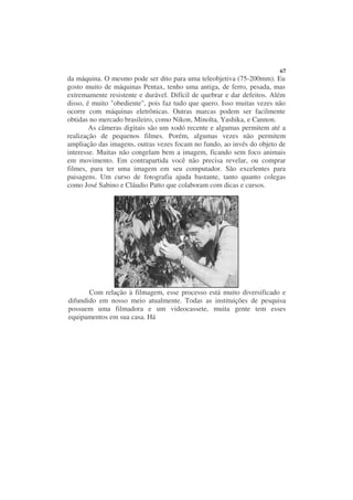 67
da máquina. O mesmo pode ser dito para uma teleobjetiva (75-200mm). Eu
gosto muito de máquinas Pentax, tenho uma antiga, de ferro, pesada, mas
extremamente resistente e durável. Difícil de quebrar e dar defeitos. Além
disso, é muito "obediente", pois faz tudo que quero. Isso muitas vezes não
ocorre com máquinas eletrônicas. Outras marcas podem ser facilmente
obtidas no mercado brasileiro, como Nikon, Minolta, Yashika, e Cannon.
        As câmeras digitais são um xodó recente e algumas permitem até a
realização de pequenos filmes. Porém, algumas vezes não permitem
ampliação das imagens, outras vezes focam no fundo, ao invés do objeto de
interesse. Muitas não congelam bem a imagem, ficando sem foco animais
em movimento. Em contrapartida você não precisa revelar, ou comprar
filmes, para ter uma imagem em seu computador. São excelentes para
paisagens. Um curso de fotografia ajuda bastante, tanto quanto colegas
como José Sabino e Cláudio Patto que colaboram com dicas e cursos.




       Com relação à filmagem, esse processo está muito diversificado e
difundido em nosso meio atualmente. Todas as instituições de pesquisa
possuem uma filmadora e um videocassete, muita gente tem esses
equipamentos em sua casa. Há
 