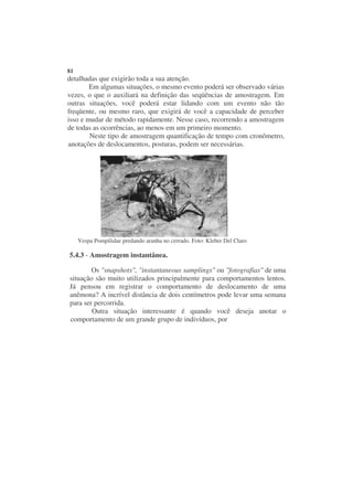 81
detalhadas que exigirão toda a sua atenção.
        Em algumas situações, o mesmo evento poderá ser observado várias
vezes, o que o auxiliará na definição das seqüências de amostragem. Em
outras situações, você poderá estar lidando com um evento não tão
freqüente, ou mesmo raro, que exigirá de você a capacidade de perceber
isso e mudar de método rapidamente. Nesse caso, recorrendo a amostragem
de todas as ocorrências, ao menos em um primeiro momento.
        Neste tipo de amostragem quantificação de tempo com cronômetro,
anotações de deslocamentos, posturas, podem ser necessárias.




     Vespa Pompilidae predando aranha no cerrado. Foto: Kleber Del Claro

5.4.3 - Amostragem instantânea.

        Os "snapshots", "instantaneous samplings" ou "fotografias" de uma
situação são muito utilizados principalmente para comportamentos lentos.
Já pensou em registrar o comportamento de deslocamento de uma
anêmona? A incrível distância de dois centímetros pode levar uma semana
para ser percorrida.
        Outra situação interessante é quando você deseja anotar o
comportamento de um grande grupo de indivíduos, por
 