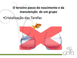 O terceiro passo do nascimento e da
manutenção de um grupo
•Cristalização das Tarefas
 