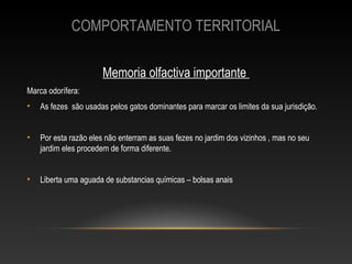 COMPORTAMENTO TERRITORIAL

                       Memoria olfactiva importante
Marca odorífera:
•   As fezes são usadas pelos gatos dominantes para marcar os limites da sua jurisdição.


•   Por esta razão eles não enterram as suas fezes no jardim dos vizinhos , mas no seu
    jardim eles procedem de forma diferente.


•   Liberta uma aguada de substancias químicas – bolsas anais
 
