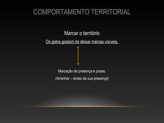 COMPORTAMENTO TERRITORIAL

             Marcar o território
   Os gatos gostam de deixar marcas visíveis,




          Marcação de presença e posse,
        (Arranhar – sinais da sua presença)
 