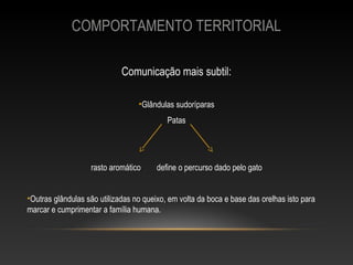 COMPORTAMENTO TERRITORIAL

                             Comunicação mais subtil:

                                  •Glândulas sudoríparas
                                           Patas




                   rasto aromático      define o percurso dado pelo gato


•Outras glândulas são utilizadas no queixo, em volta da boca e base das orelhas isto para
marcar e cumprimentar a família humana.
 