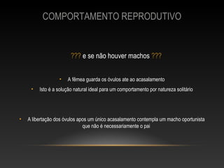 COMPORTAMENTO REPRODUTIVO


                        ??? e se não houver machos ???


                  •   A fêmea guarda os óvulos ate ao acasalamento
     •   Isto é a solução natural ideal para um comportamento por natureza solitário




•   A libertação dos óvulos apos um único acasalamento contempla um macho oportunista
                              que não é necessariamente o pai
 