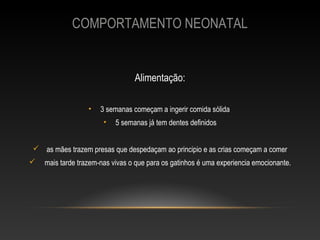 COMPORTAMENTO NEONATAL


                                 Alimentação:

                  •   3 semanas começam a ingerir comida sólida
                       •   5 semanas já tem dentes definidos


 as mães trazem presas que despedaçam ao principio e as crias começam a comer
   mais tarde trazem-nas vivas o que para os gatinhos é uma experiencia emocionante.
 