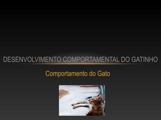 DESENVOLVIMENTO COMPORTAMENTAL DO GATINHO
           Comportamento do Gato
 