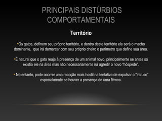 PRINCIPAIS DISTÚRBIOS
                   COMPORTAMENTAIS
                                    Território
  •Os gatos, definem seu próprio território, e dentro deste território ele será o macho
dominante, que irá demarcar com seu próprio cheiro o perímetro que define sua área.

•É natural que o gato reaja à presença de um animal novo, principalmente se antes só
     existia ele na área mas não necessariamente irá agredir o novo “hóspede”.

• No entanto, pode ocorrer uma reacção mais hostil na tentativa de expulsar o "intruso“
                 especialmente se houver a presença de uma fêmea.
 