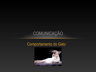 COMUNICAÇÃO

Comportamento do Gato
 