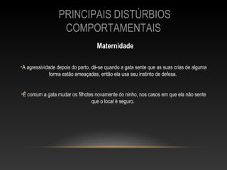 PRINCIPAIS DISTÚRBIOS
                  COMPORTAMENTAIS
                                   Maternidade

•A agressividade depois do parto, dá-se quando a gata sente que as suas crias de alguma
              forma estão ameaçadas, então ela usa seu instinto de defesa.


•É comum a gata mudar os filhotes novamente do ninho, nos casos em que ela não sente
                                que o local é seguro.
 