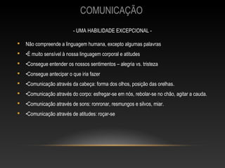 COMUNICAÇÃO
                          - UMA HABILIDADE EXCEPCIONAL -

   Não compreende a linguagem humana, excepto algumas palavras
   •É muito sensível à nossa linguagem corporal e atitudes
   •Consegue entender os nossos sentimentos – alegria vs. tristeza
   •Consegue antecipar o que iria fazer
   •Comunicação através da cabeça: forma dos olhos, posição das orelhas.
   •Comunicação através do corpo: esfregar-se em nós, rebolar-se no chão, agitar a cauda.
   •Comunicação através de sons: ronronar, resmungos e silvos, miar.
   •Comunicação através de atitudes: roçar-se
 