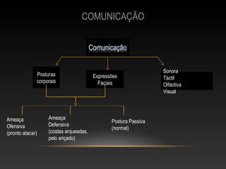 COMUNICAÇÃO




                                                                 Sonora
              Posturas                  Expressões               Táctil
              corporais                   Faciais                Olfactiva
                                                                 Visual



Ameaça             Ameaça
                                               Postura Passiva
Ofensiva           Defensiva
                                               (normal)
(pronto atacar)    (costas arqueadas,
                   pelo eriçado)
 
