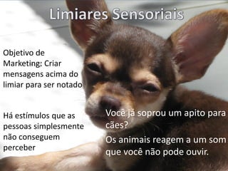 Você já soprou um apito para
cães?
Os animais reagem a um som
que você não pode ouvir.
Há estímulos que as
pessoas simplesmente
não conseguem
perceber
Objetivo de
Marketing: Criar
mensagens acima do
limiar para ser notado
 