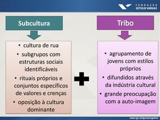Subcultura
• cultura de rua
• subgrupos com
estruturas sociais
identificáveis
• rituais próprios e
conjuntos específicos
de valores e crenças
• oposição à cultura
dominante
• agrupamento de
jovens com estilos
próprios
• difundidos através
da indústria cultural
• grande preocupação
com a auto-imagem
 