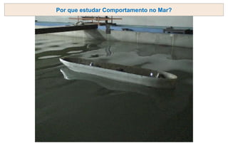 Por que estudar Comportamento no Mar?
 
