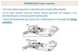 INTRODUÇÃO: brisas marinhas
• Os raios solares aquecem a atmosfera de maneira diferenciada;
• O ar mais quente torna-se menos denso, gerando um espaço a ser
preenchido por ar menos quente (convecção);
• Esses deslocamentos de massas de ar determinam a formação das brisas
marinhas;
 