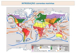 INTRODUÇÃO: correntes marinhas
 