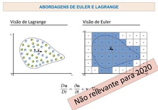 ABORDAGENS DE EULER E LAGRANGE
Visão de Lagrange Visão de Euler
 