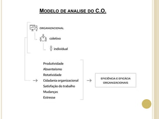 MODELO DE ANALISE DO C.O.
 