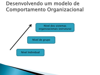 Nível dos sistemas
               organizacionais (estrutura)



         Nível de grupo



Nível Individual
 
