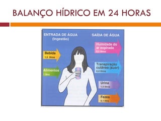 BALANÇO HÍDRICO EM 24 HORAS 