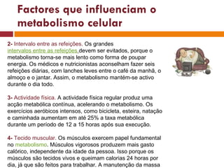 Factores que influenciam o metabolismo celular 2-  Intervalo entre as refeições.  Os grandes  intervalos entre as refeições   devem ser evitados, porque o metabolismo torna-se mais lento como forma de poupar energia. Os médicos e nutricionistas aconselham fazer seis refeições diárias, com lanches leves entre o café da manhã, o almoço e o jantar. Assim, o metabolismo mantém-se activo durante o dia todo. 3-  Actividade física.  A actividade física regular produz uma acção metabólica contínua, acelerando o metabolismo. Os exercícios aeróbicos intensos, como bicicleta, esteira, natação e caminhada aumentam em até 25% a taxa metabólica durante um período de 12 a 15 horas após sua execução.  4-  Tecido muscular.  Os músculos exercem papel fundamental no  metabolismo . Músculos vigorosos produzem mais gasto calórico, independente da idade da pessoa. Isso porque os músculos são tecidos vivos e queimam calorias 24 horas por dia, já que são feitos para trabalhar. A manutenção da massa muscular está directamente ligada à prática de exercícios. 