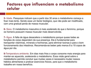 5-  Idade.  Pesquisas indicam que a partir dos 30 anos o metabolismo começa a ficar mais lento. Sendo esse um factor biológico, que não pode ser modificado, com uma gradual perda de massa muscular. 6-  Sexo.   O metabolismo masculino é mais acelerado do que o feminino, porque os homens possuem massa muscular mais desenvolvida. 7-  Água.  A falta de água desacelera o metabolismo porque quase todas as funções do corpo dependem da sua presença. Ela é fundamental para transportar vitaminas, minerais e hormonas, para eliminar toxinas e para o bom funcionamento dos intestinos. Recomenda-se beber pelo menos 8 a 10 copos de água por dia. 8- Temperatura ambiente . Em dias mais frios o corpo consome mais energia para manter-se aquecido, acelerando o metabolismo. Essa visão geral sobre o metabolismo permite concluir que muitas vezes é necessário mudar nossos hábitos alimentares e praticar exercícios físicos, para que o metabolismo trabalhe em nosso benefício. Factores que influenciam o metabolismo celular 
