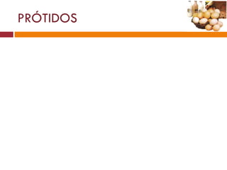 PRÓTIDOS 