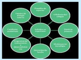 Comportamento seguro