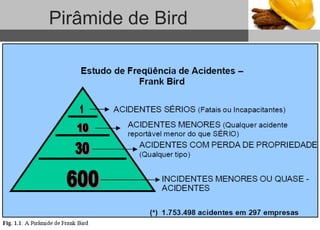 1
Sub headline
Pirâmide de Bird
 