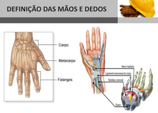DEFINIÇÃO DAS MÃOS E DEDOS
 