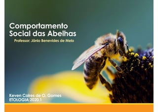 Comportamento
Social das Abelhas
Professor: Jânio Benevides de Melo
Keven Caires de O. Gomes
ETOLOGIA 2020.1
 