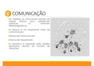 COMUNICAÇÃO
As abelhas se comunicam através de
toques, dança, sons, substâncias
químicas, ou estímulos
eletromagnéticos.
A dança é um importante meio de
comunicação.
Dança de forma circular.
Dança do requebrado.
A distancia é ensinada pela abelha
dançarina através do numero de
vibrações.
 