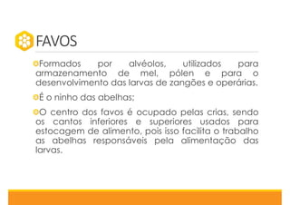 FAVOS
Formados por alvéolos, utilizados para
armazenamento de mel, pólen e para o
desenvolvimento das larvas de zangões e operárias.
É o ninho das abelhas;
O centro dos favos é ocupado pelas crias, sendo
os cantos inferiores e superiores usados para
estocagem de alimento, pois isso facilita o trabalho
as abelhas responsáveis pela alimentação das
larvas.
 
