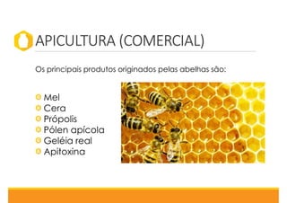 APICULTURA (COMERCIAL)
Os principais produtos originados pelas abelhas são:
Mel
Cera
Própolis
Pólen apícola
Geléia real
Apitoxina
 