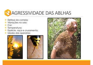 AGRESSIVIDADE DAS ABLHAS
Defesa da comeia;
Vibrações no solo;
Cor;
Temperatura;
Espécie, raça e cruzamento;
Idades das operarias;
 