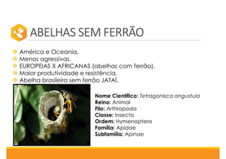 ABELHAS SEM FERRÃO
Nome Científico: Tetragonisca angustula
Reino: Animal
Filo: Arthropoda
Classe: Insecta
Ordem: Hymenoptera
Família: Apidae
Subfamília: Apinae
América e Oceania.
Menos agressivas.
EUROPEIAS X AFRICANAS (abelhas com ferrão).
Maior produtividade e resistência.
Abelha brasileira sem ferrão JATAÍ.
 