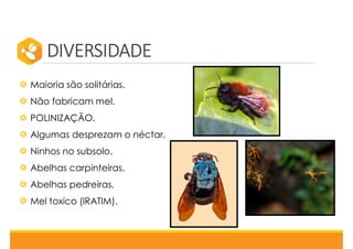 DIVERSIDADE
Maioria são solitárias.
Não fabricam mel.
POLINIZAÇÃO.
Algumas desprezam o néctar.
Ninhos no subsolo.
Abelhas carpinteiras.
Abelhas pedreiras.
Mel toxico (IRATIM).
 