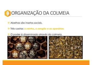 ORGANIZAÇÃO DA COLMEIA
Abelhas são insetos sociais.
Três castas: a rainha, o zangão e as operárias.
O poder é disseminado através da colmeia.
 
